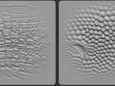 45 Reptile Dragon lizard crocodile Skin Scale Alphas V3 3D model