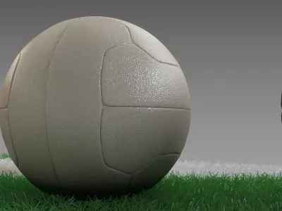 World Championship Football Balls 3D model