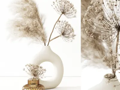 Dry Composition 3D model