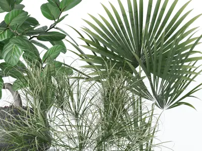 Plants collection 131 3D model