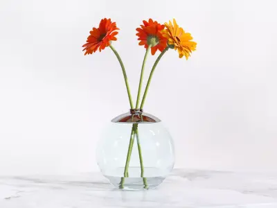 Gerberas in the sphere vase 3D model