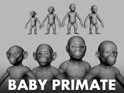 Baby Primate BaseMesh  Low-poly 3D model