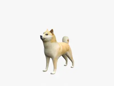 Doggo shiba inu Low-poly 3D model
