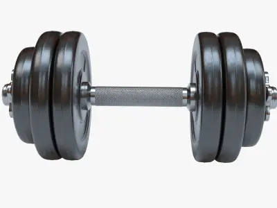 Dumbbell pair of dumbbells 3D model get