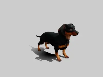 Rigged Animated Pinscher Dog Low-poly 3D model