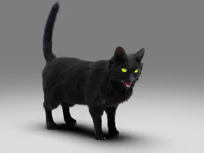 Fur Cat Black Rigged in Blender Low-poly 3D model