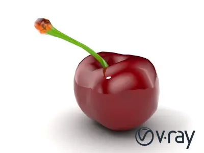 Realistic Cherry with Dark Red Glossy Texture model pack Low-poly 3D model