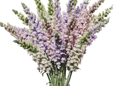 Flower In Vase   28 3D model