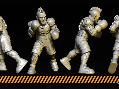 Boxers 3D print model