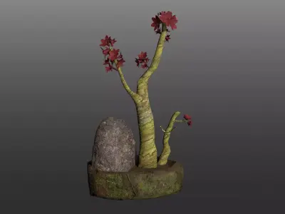 Bonsai Pot  Low-poly 3D model
