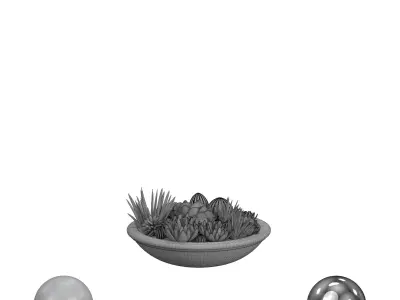 Succulent Pot 3D model