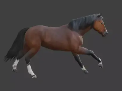Animated Brown Horse  3D model