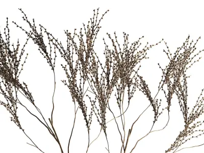 Minimalistic Bouquet Of Dry Branches In A Vase 315 3D model