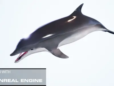 Realistic Animated Dolphin Low-poly 3D model