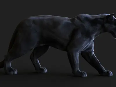 Black Panther ANIMATED Xgen core 3D model