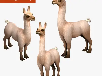 alpaca with rig  high-poly textured 3D model