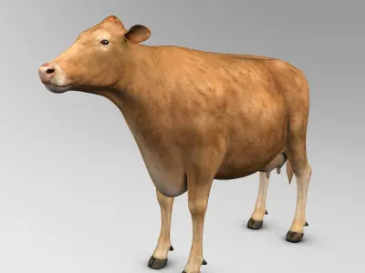 Cow Limousin 3D model