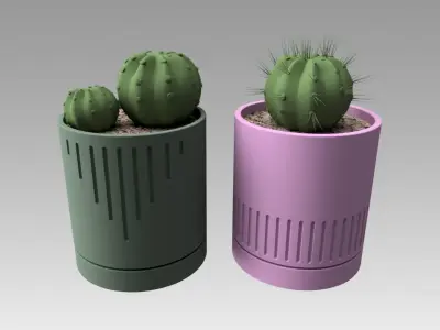Flowerpot with cactus 3D model
