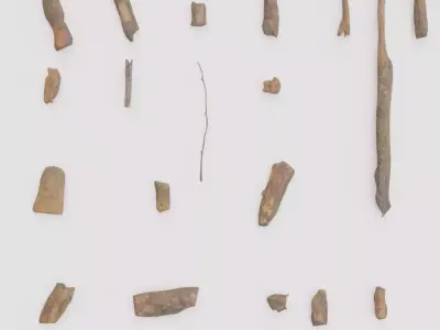 Tree Debris Collection - Realistic Wood Fragments Free 3D model