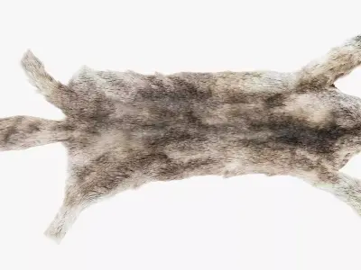 Wolf Skin Rug - Realistic Animal Hide 3D model