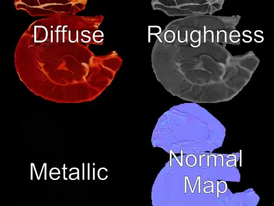 Realistic Raw Meat Steak D Model Pack Low-poly 3D model