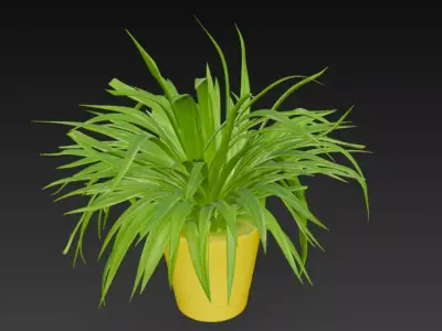 spider plant pot 3D model