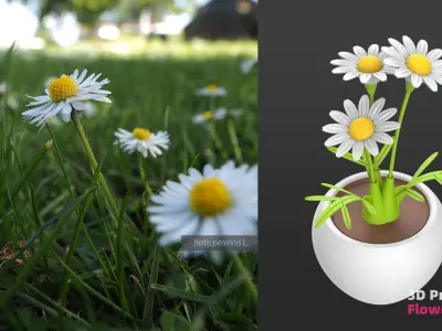 3D printable Flower Pots 3D print model