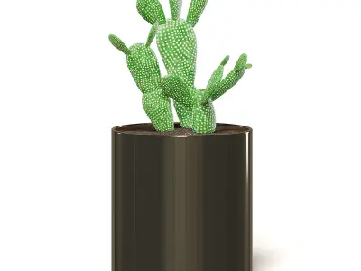 Cactus 3D Model in Metal Pot 3D model