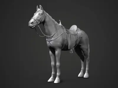 horse 3D model 22