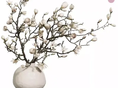 Flower In Vase Collection 04