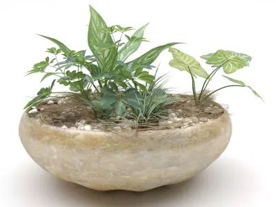 Indoor Planter Free 3D model