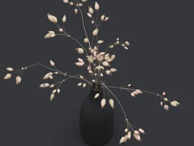 3D Dried Grass Flowers II 3D model