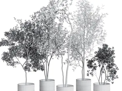 collection indoor plant 326 concrete vase Low-poly 3D model