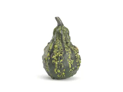 Decorative Pumpkin Gourd 3 3D model