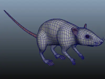 Mouse 3D Model rat Low-poly 3D model
