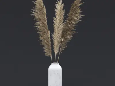Pampas Grass I 3D model