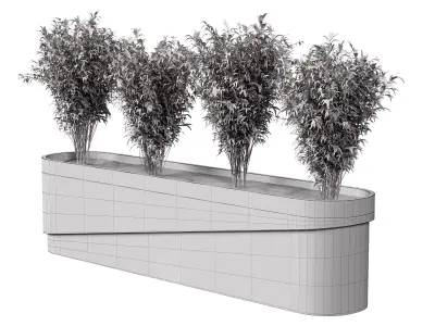 Plants Box Collection 3D model