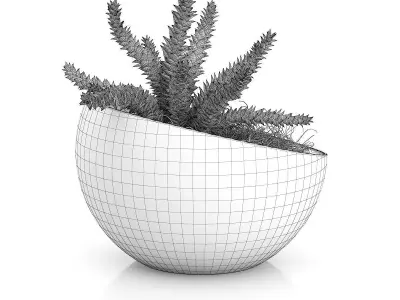 Plant in Sphere Glass Pot 3D model