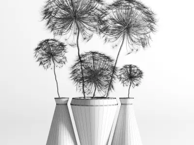 Dry berenklauw Low-poly 3D model