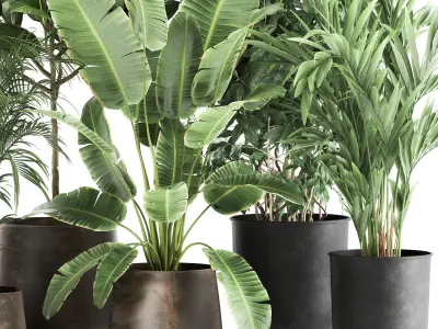 Houseplants in a rust flowerpot for the interior 978 3D model