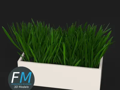 Grass in a pot 2 3D model
