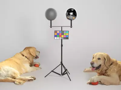 Golden retriever 17 Low-poly 3D model