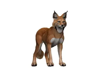 Lynx-Lynx Low-poly 3D model