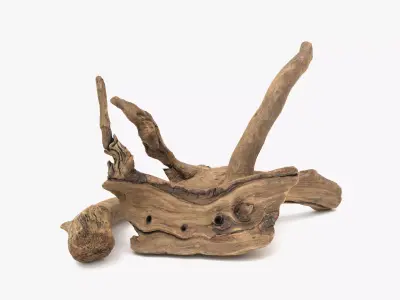 Old Wood Roots Low-poly 3D model