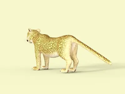 Cartoon Leopard Rigged 3D model