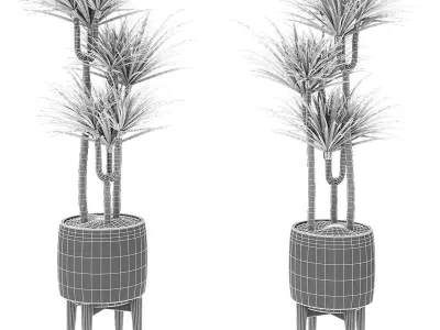 Plant in Pot Flowerpot Exotic Plant 3D model 18