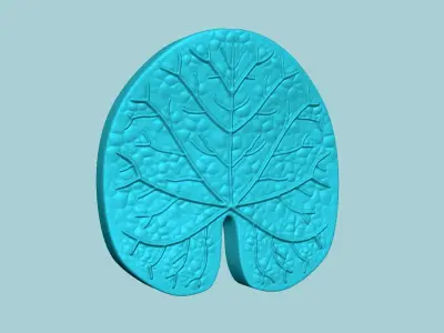Judas Tree Leaf - Molding Artificial EVA Craft 3D print model