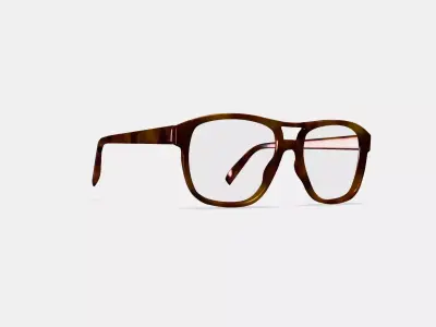 Ortega Eyeglasses in Peppercorn Tortoise 3D model
