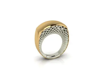 Modern Ring 3D print model