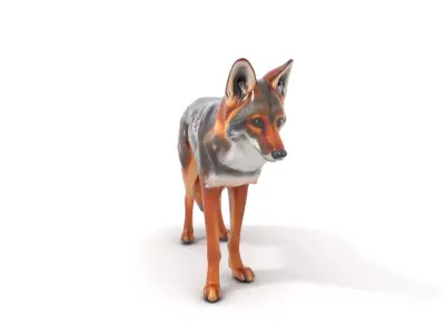 Realistic Coyote Fur model pack Low-poly 3D model